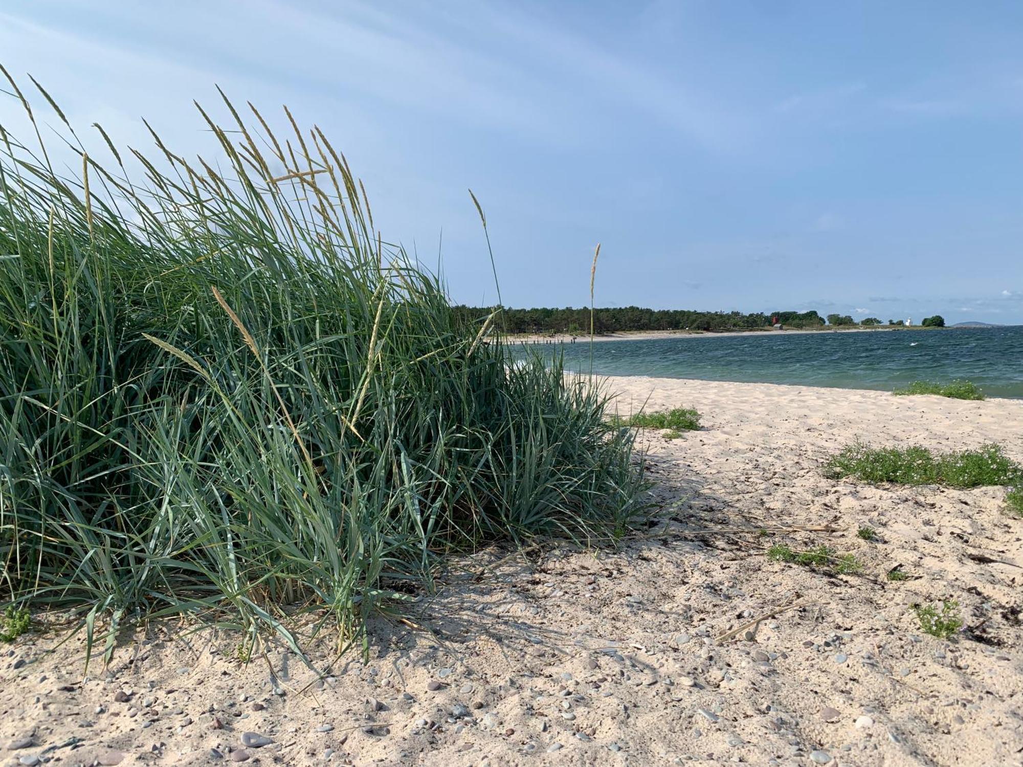 Strandlaegenhet Byxelkrok, Oeland Ngoại thất bức ảnh